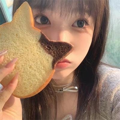 七小汪警犬队 在线观看
